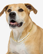 Load image into Gallery viewer, #Length_22&quot;
