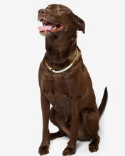 Load image into Gallery viewer, #Length_22&quot;
