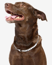 Load image into Gallery viewer, #Length_22&quot;
