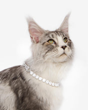 Load image into Gallery viewer, #Length_12&quot;
