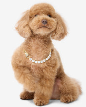 Load image into Gallery viewer, #Length_16&quot;
