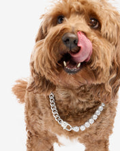 Load image into Gallery viewer, Thor Loves Diamonds Pet Necklace - Silver|White Diamondettes
