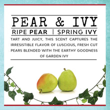 Load image into Gallery viewer, Not Today, Mansplainer- Infused With &quot;Well-Earned Confidence&quot; Scent: Pear &amp; Ivy
